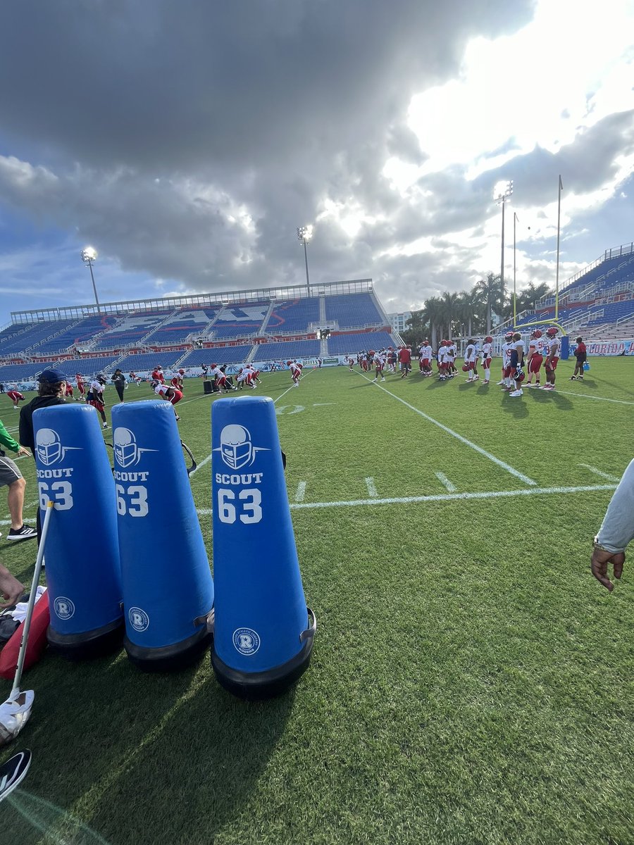 Shayne Festa tweet media