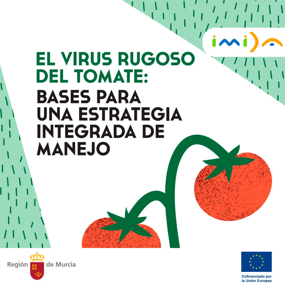 Ya puedes descargarte esta monografía 'El virus rugoso del tomate: bases para una estrategia integrada de manejo', donde se recogen todos los aspectos más relevantes. Descarga AQUÍ 👉 imida.es/web/imida/-/el…