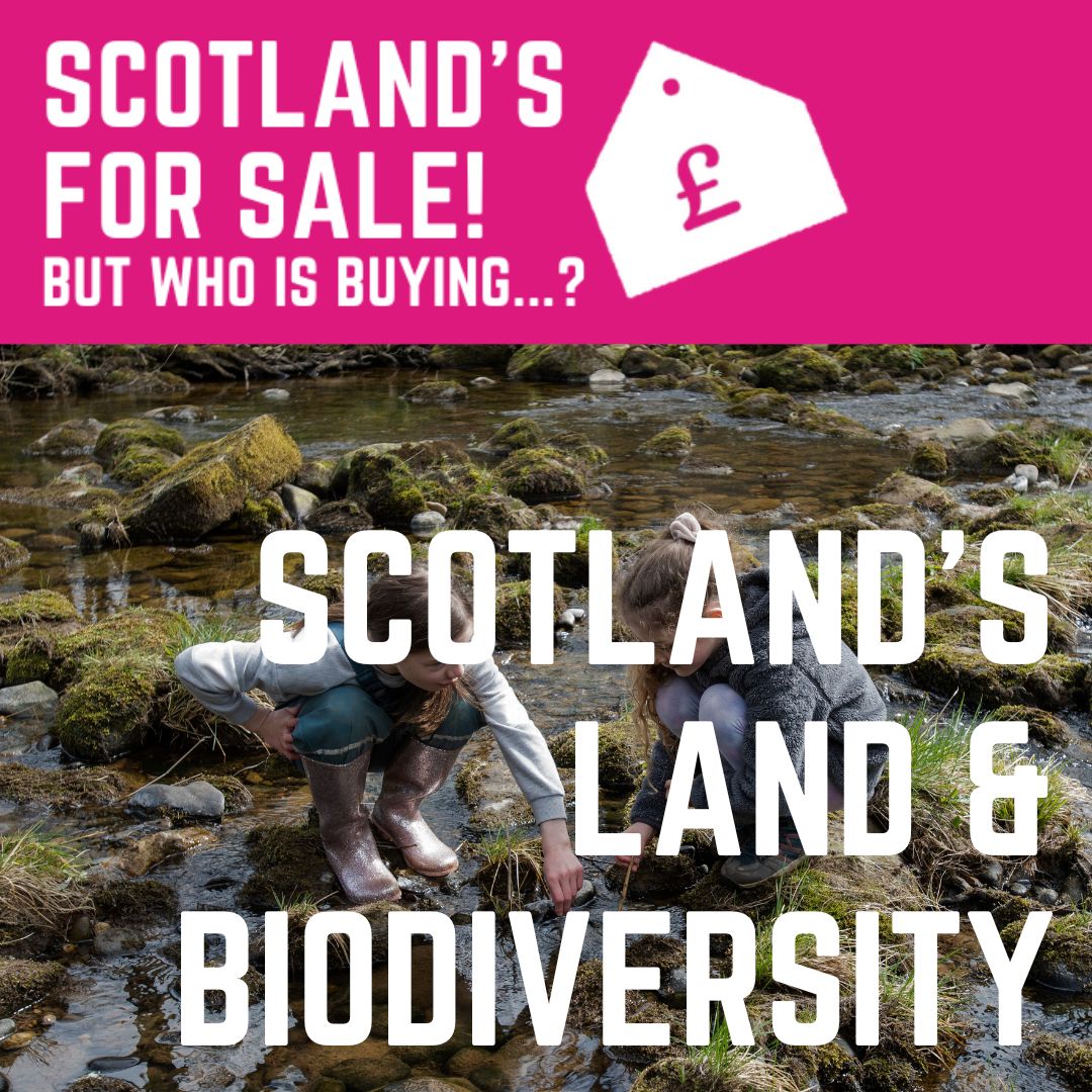 Centuries of activities associated with concentrated landownership have depleted Scotland's biodiversity. With more radical land reform, community ownership can restore nature while prioritising community needs. 1/9 #ScotlandsForSale #LandReform #CommunityOwnership