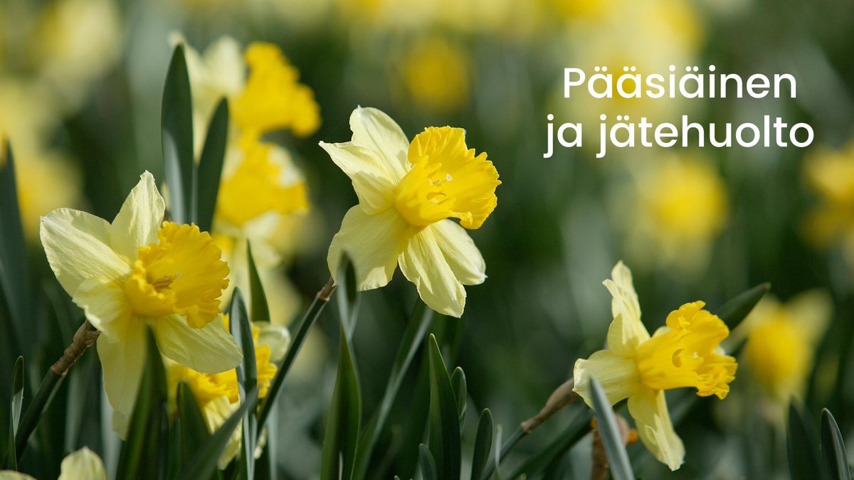 Pitkäperjantaina 29.3. ja toisena pääsiäispäivänä 1.4. toimipisteemme ja asiakaspalvelumme ovat suljettuina. Arkipyhäviikoilla jäteastian tyhjennyspäivä voi muuttua totutusta. Aurinkoista pääsiäistä!