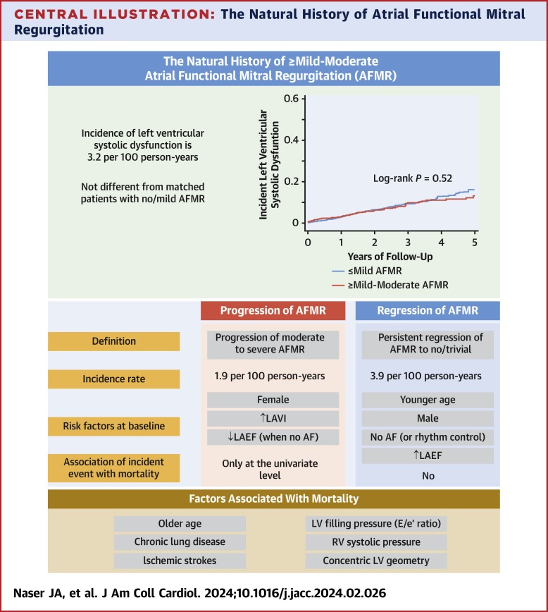 Thrilled to see our work studying the natural history of atrial functional #MR out in @JACCJournals @MayoClinicCV @MayoCVFellows How frequently does #AFMR progress/ regress? How often does low #EF develop? Free link for 50 days sciencedirect.com/science/articl…
