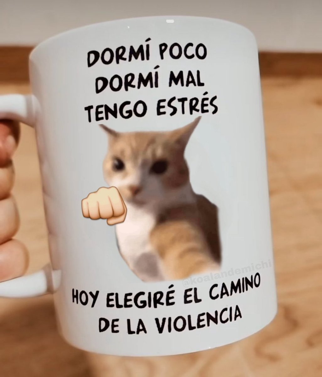 koalandeMichi's tweet image. Buenas 👋🏻🐱