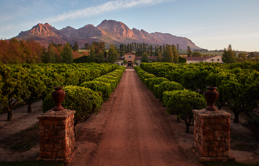 Can it get any better?

Visiting the Stellenbosch Winelands is breathtaking, surrounded by stunning mountains, adorned with lush vineyards and a palpable energy in the air is enough to make anyone fall in love.

#stellenboschwineroute #stellenboschcabernet #waterfordestate