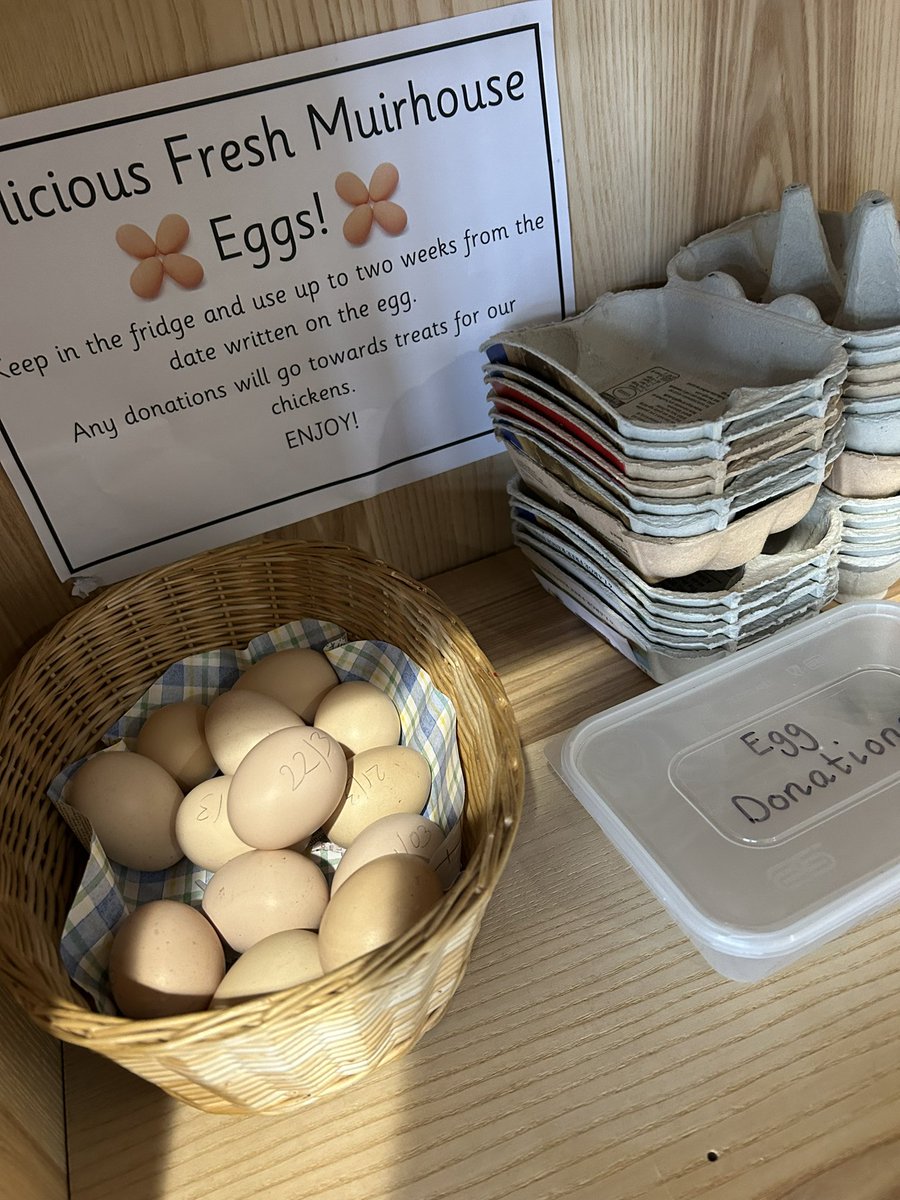 MPSChicks's tweet photo. We have lots of eggs available at the office @MuirhousePS https://t.co/0KRdtyj9ZA