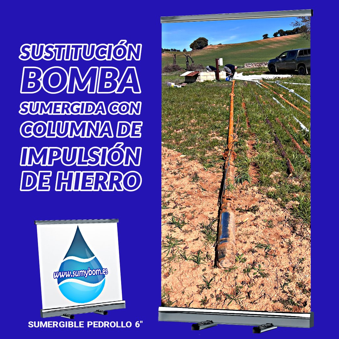 sumybom's tweet image. Esta #bombasumergible #Pedrollo ofrece una serie de ventajas:

👉 Mayor #eficienciaenergética: La #bomba está equipada con un #motor de alta eficiencia IE3, lo que significa que consume menos energía que las bombas tradicionales.
👉 Mayor caudal: La bomba puede #bombear más agua