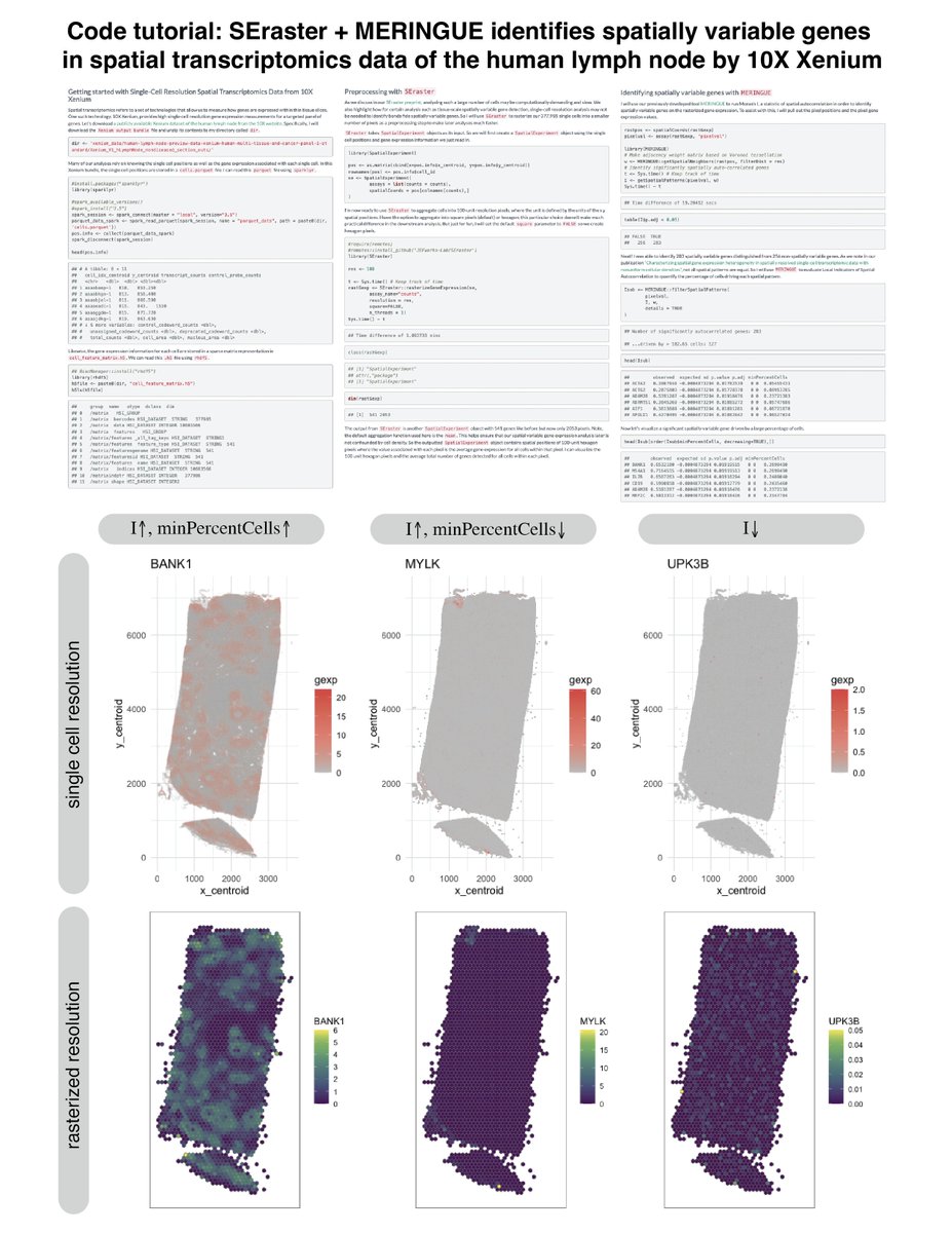 JEFworks's tweet image. In this #bioinformatics #codingtutorial, I quickly identify spatially variable genes in a #singlecell #spatialtranscriptomic dataset w/ 377,985 cells by combining our recent preprocessing tool SEraster with MERINGUE in #Rstats. 

Try it out for yourself: jef.works/blog/2024/03/2…