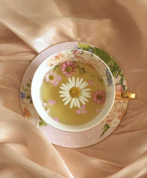 prettiestavenue's tweet photo. prettea https://t.co/NebyiL7zrL