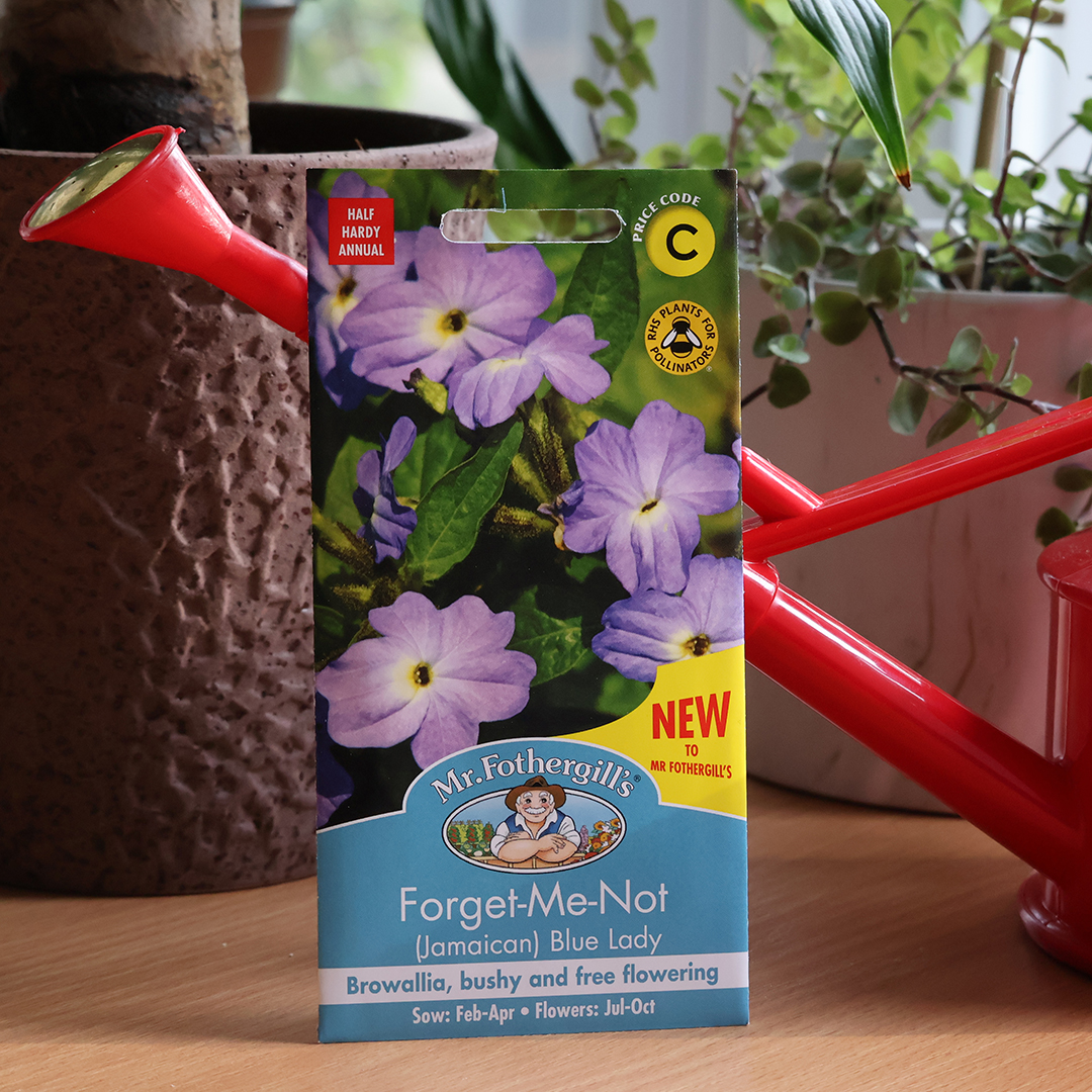 Mr Fothergills Seeds tweet media