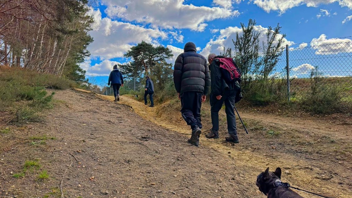 What a beautiful Sunday afternoon walk! 
Photos courtesy of Mel Selwood, taken yesterday in Pirbright. 

If you would like to lead a walk in your area or you are looking to join one of our current walks, please get in touch at givesurrey@gmail.com