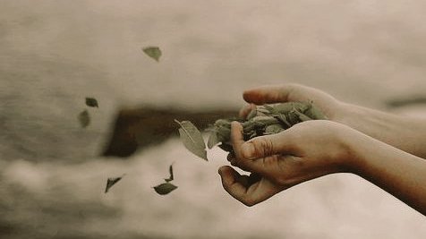 SlNESTHESlA's tweet image. ᅠ

𝑰𝑻𝑼 𝑻𝑬𝑹𝑱𝑨𝑫𝑰 𝑺𝑬𝑲𝑰𝑻𝑨𝑹 𝑺𝑬𝑻𝑨𝑯𝑼𝑵 𝒀𝑨𝑵𝑮 𝑳𝑨𝑳𝑼;
Ibarat sekali dalam seribu bulan, pada akhirnya aku melihat 𝘣𝘶𝘯𝘨𝘢𝘬𝘶 kembali merekah. Aku kembali melihat 𝘯𝘢𝘱𝘢𝘴 𝘬𝘦𝘩𝘪𝘥𝘶𝘱𝘢𝘯 berdesir bersama darahnya, timbulkan rona di wajah.

ᅠ