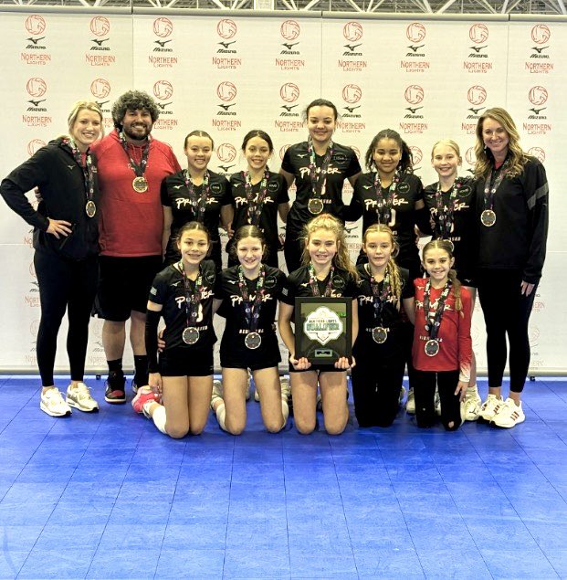 Premier 12 Gold tweet media