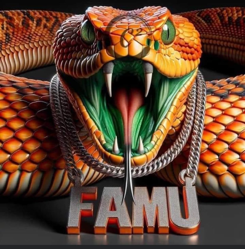 Where are my 2024 or 2025 WBB “Hoopers”? 🏀. Drop your film or DM me.  Future Rattlers🐍🐍