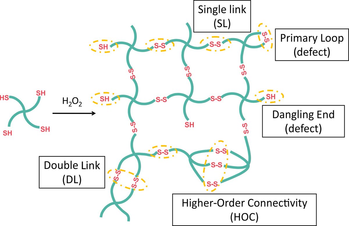 Harm-Anton Klok (@kloklab) on Twitter photo Our latest paper by Zhao on disulfide-crosslinked Tetra-PEG networks in collaboration with Lucas Löser and Kay Saalwächter <a href="/UniHalle/">Universität Halle (inaktiv)</a> and Urs Gasser <a href="/psich_en/">PSI Paul Scherrer Institut</a> is out in #Macromolecules <a href="/MacroJrnls_ACS/">ACS Macro Journals</a> doi.org/10.1021/acs.ma… Our latest paper by Zhao on disulfide-crosslinked Tetra-PEG networks in collaboration with Lucas Löser and Kay Saalwächter <a href="/UniHalle/">Universität Halle (inaktiv)</a> and Urs Gasser <a href="/psich_en/">PSI Paul Scherrer Institut</a> is out in #Macromolecules <a href="/MacroJrnls_ACS/">ACS Macro Journals</a> doi.org/10.1021/acs.ma…