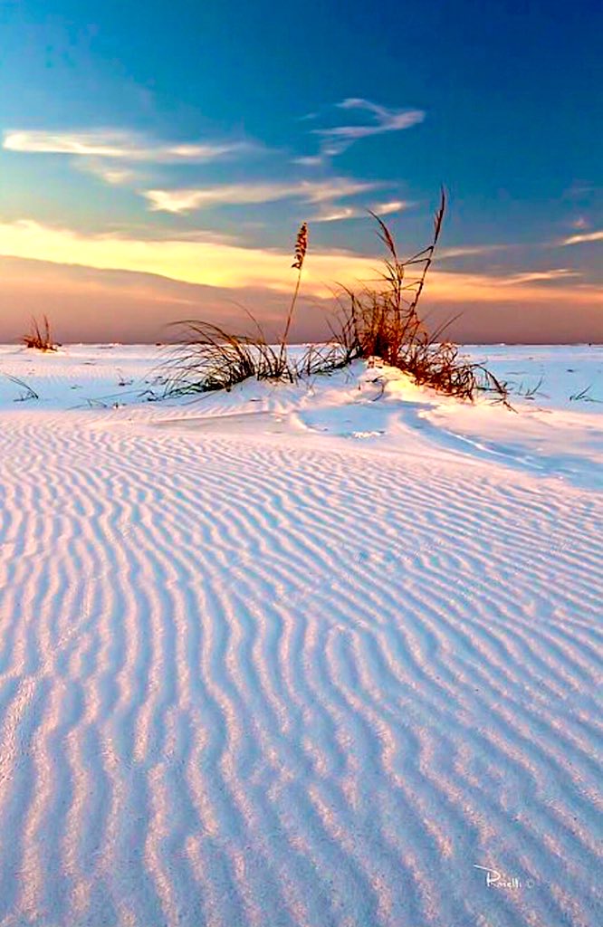 Vestkysta's tweet image. #F4E