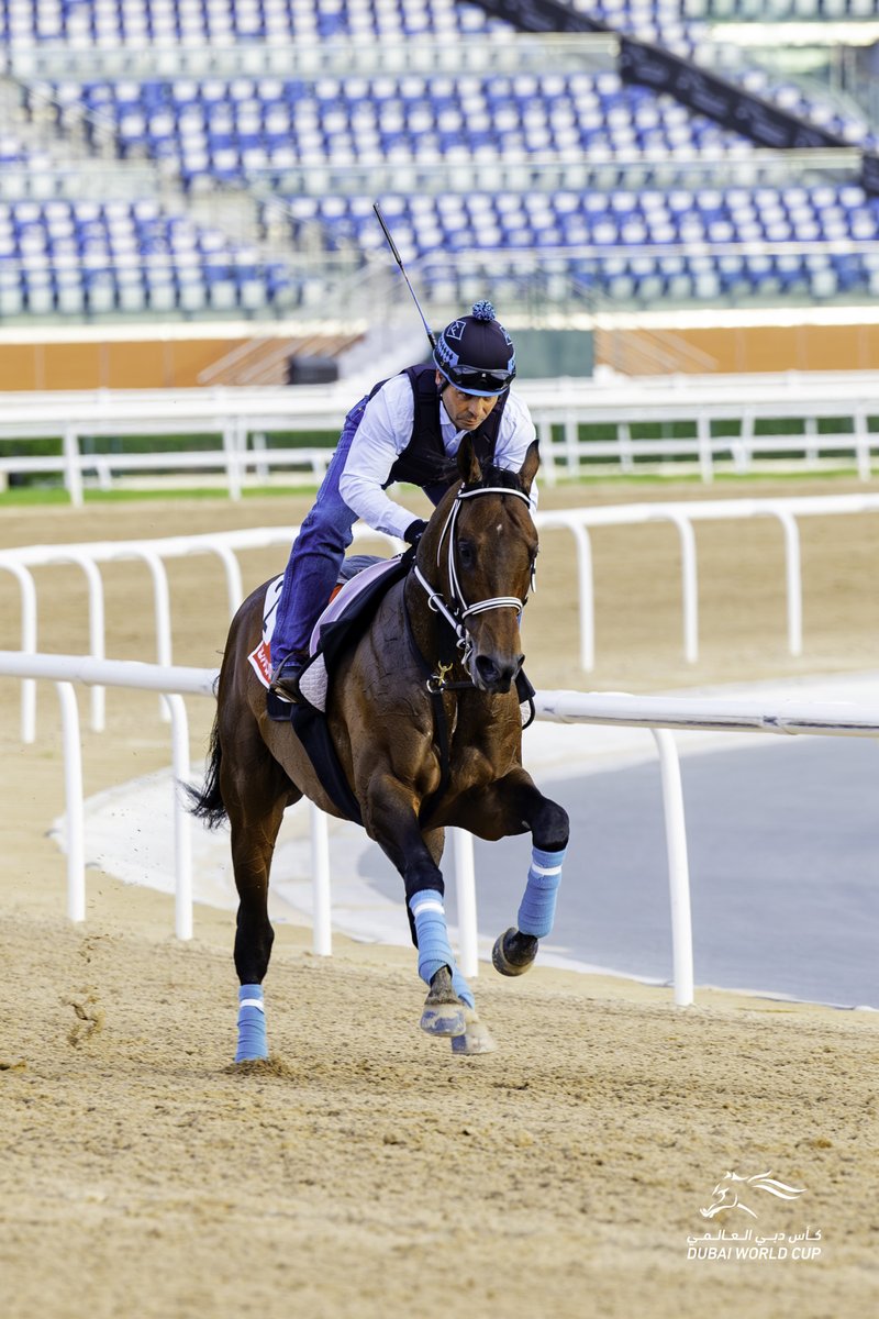 RacingDubai tweet picture