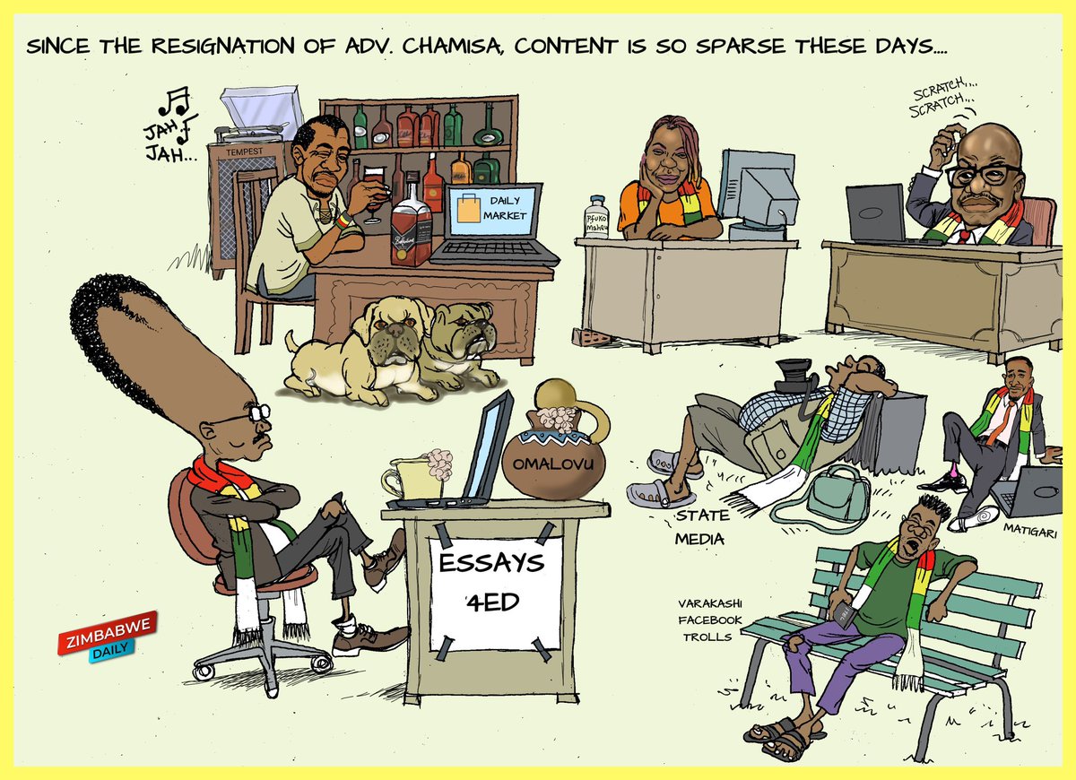 zimDaily (@zimdaily) on Twitter photo 