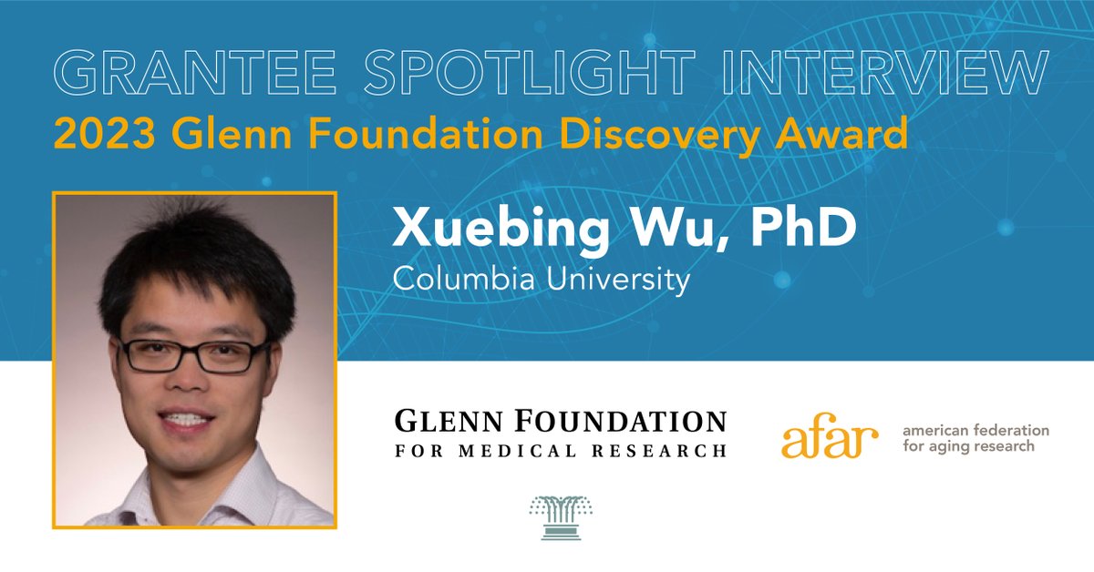 In this #Grantee Spotlight Interview, 2023 Glenn Foundation Discovery Award recipient Xuebing Wu, PhD of @ColumbiaMed speaks on what inspires his AFAR-supported #aging #research. Read here: ow.ly/Mfny50QW6t5 #healthspan