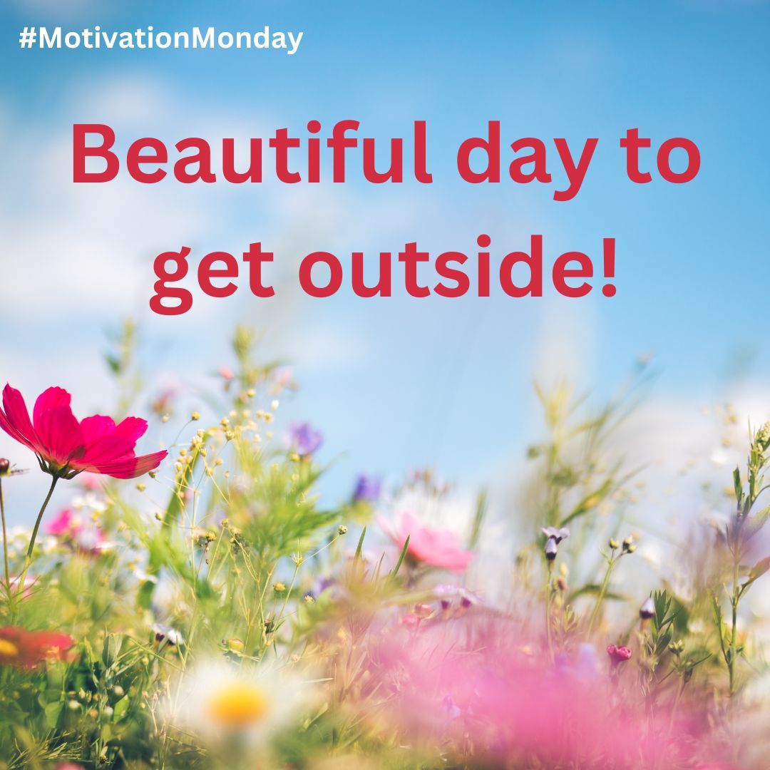 mocityschool's tweet image. What a lovely day to start a shortened week. The sun is shining so make sure to get out and soak up the sun today 🌞 #MotivationMonday #sunshine #SpringHasArrived