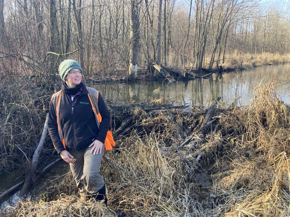 Biohabitats's tweet photo. What do the experts have to say about design-build? Experience this streamlined project delivery method through the eyes of clients, designers, and contractors in the latest issue of Biohabitats’ 𝘓𝘦𝘢𝘧 𝘓𝘪𝘵𝘵𝘦𝘳 journal https://t.co/ywuYovAYEG. https://t.co/VuTsRfI9RD