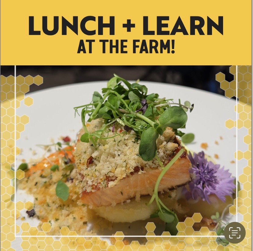 Javits Center's Lunch & Learn series is back! Come tour the Farm, learn about our many sustainable initiatives and enjoy a gourmet meal prepared by our Cultivated chefs with produce sourced from the Farm! 🌿 🍴 Click link for details + to sign up 👉 javitscenter.com/sustainability…