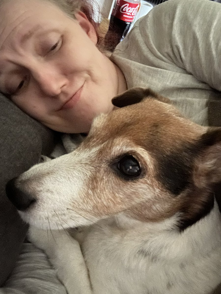 Jack Russell Brown tweet media