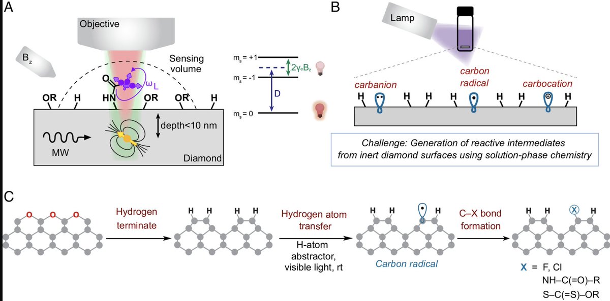 Rob Knowles of @PrincetonChem and Nathalie de Leon of @EPrinceton publish in @PNASNews this month: “Diamond surface functionalization via visible light–driven C–H activation for nanoscale quantum sensing.” Congratulations to both labs. Paper: bit.ly/4cynWny