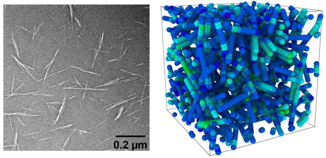 🚨 We have an opening for a very exciting PhD position in our team on modeling the rheology of cellulose nanocrystal hydrogels. 
Application deadline: May 23, 2024.
Please spread the word !
bouzidmehdi.wordpress.com/wp-content/upl…
