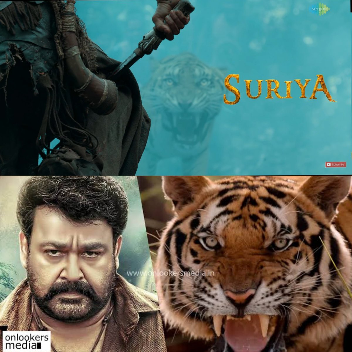 In the Malayalam film Pulimurugan, the team went to Thailand to shoot Close Reactions and Sound of the Real Tiger to use in the film

It seems the #Kanguva Team has used the same technique
 
Real Tiger's Face Reaction + CG