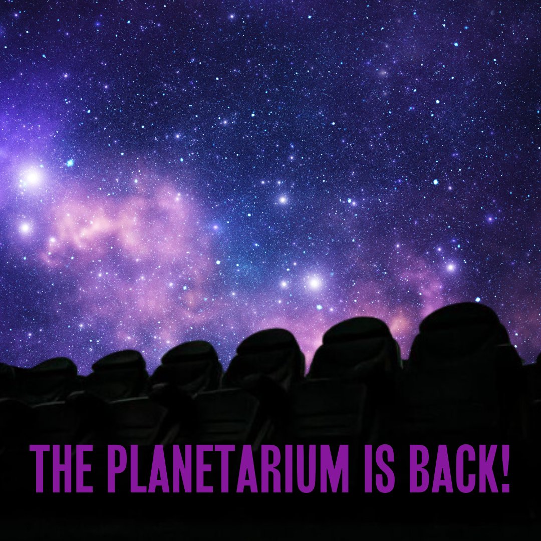 After a winter break, our Planetarium projectors have landed just in time for Spring! Join our in-house astronomers for presenter-led live shows, or settle in for a full-dome film. Speak to a member of staff on the day of your visit for information on show times. 🪐