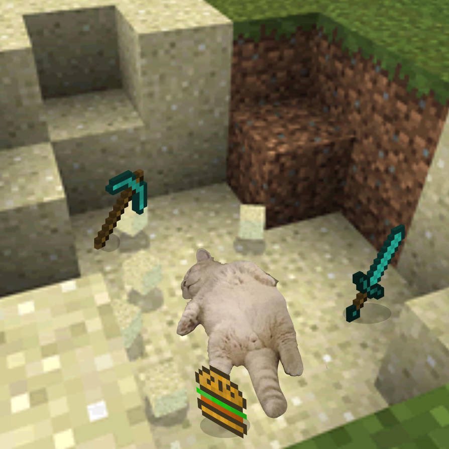 Punch Cat (@punchingcat) on Twitter photo 