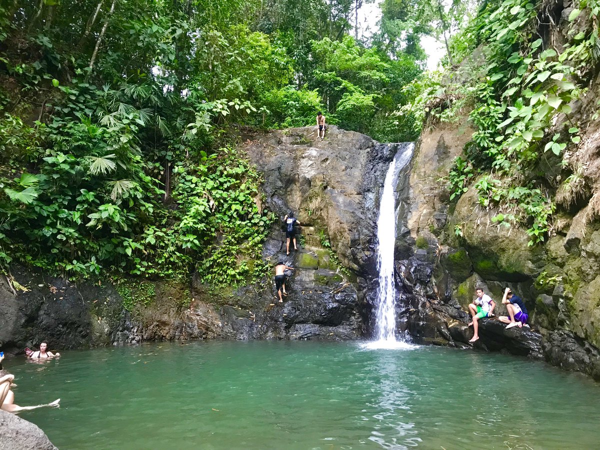 @obligatraveler @intheolivegrov1 @OdetteDunn @pipeaway_travel @jollyhobos @LiveaMemory @cherrydude @CharlesMcCool @DailyPicTheme2 @TravelChat @Giselleinmotion @Travelteaandme @sl2016_sl @Dawnistraveling Beautiful waterfall photos 💖 Here are a few from my travel adventures in Florida, Hawaii, & CostaRica. #Top4Theme #Top4Waterfalls