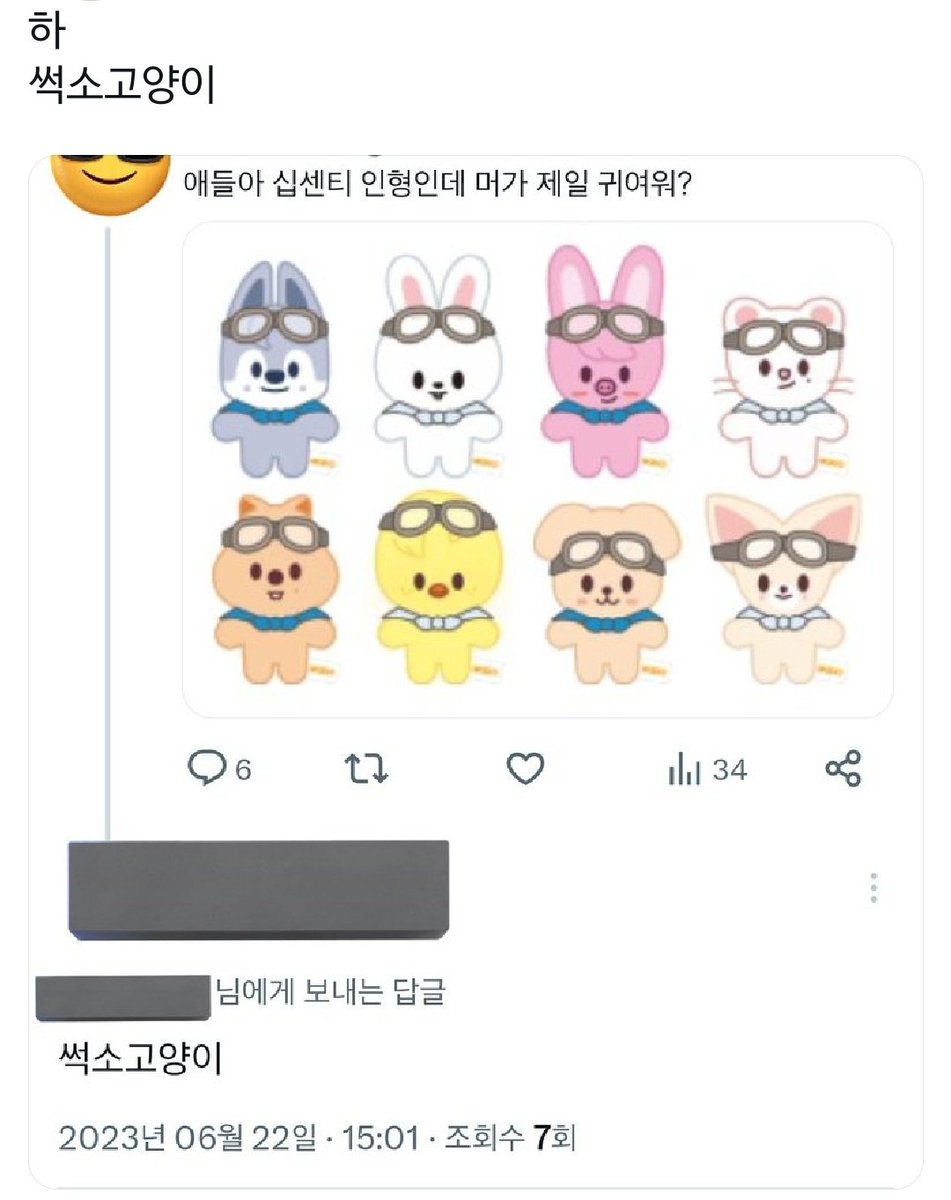 썩소고양이
