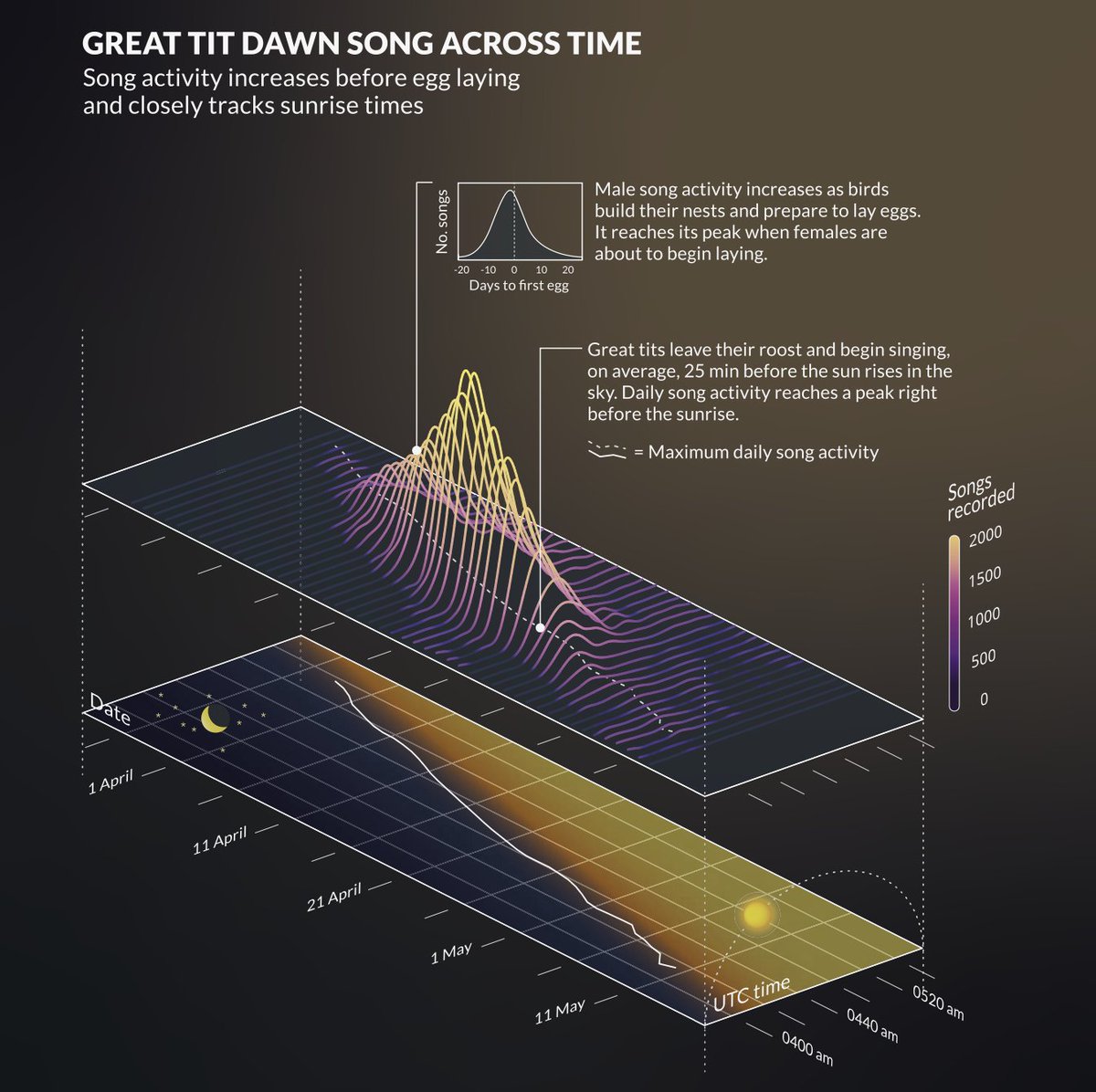 Delighted that this paper by Nilo Merino Recalde et al. is now published as the first Dataset paper in Anim Behav. It describes a fully annotated open dataset of 1.1M acoustic units from 110 000 songs sung by >400 individual Great Tits sciencedirect.com/science/articl…