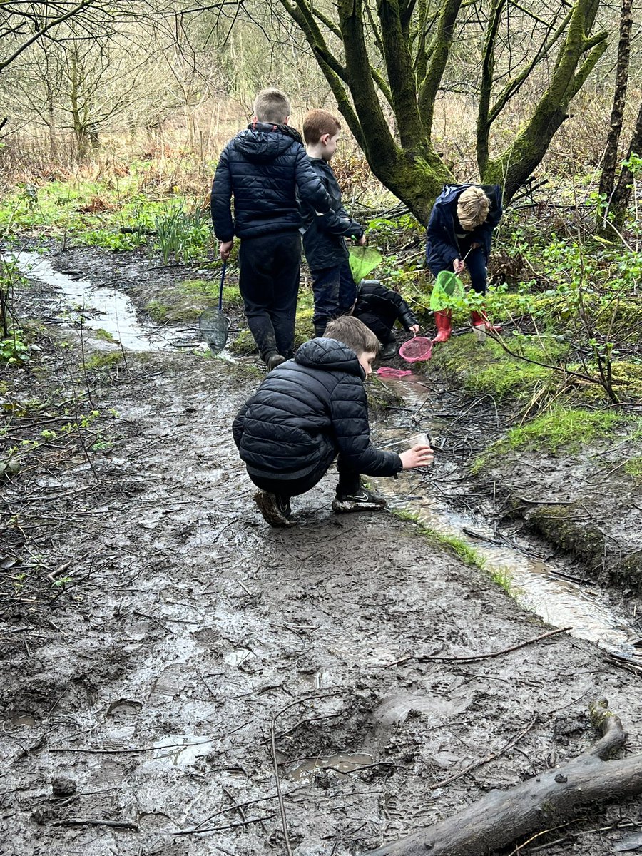 Newfold Year 4 tweet media