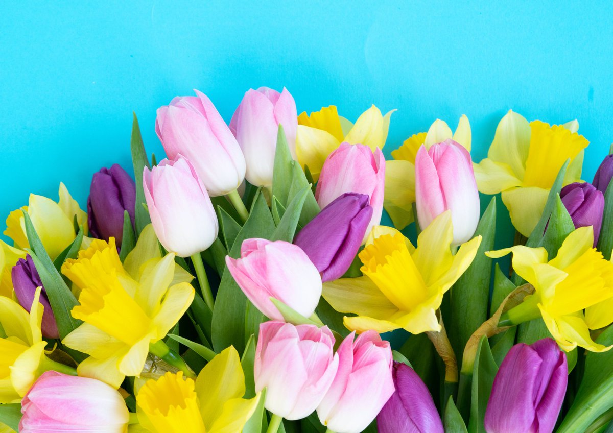 We all love a colourful bouquet of daffodils or tulips to brighten the house at Easter. Remember that these can be recycled in your green bin 💐