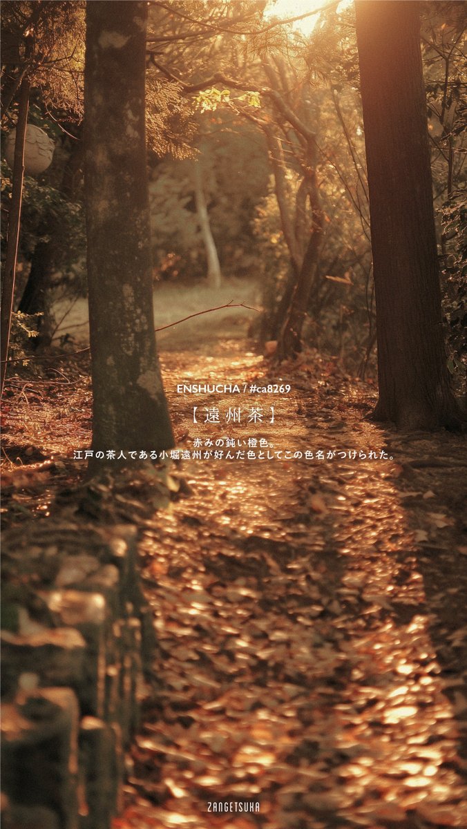 zangetsuka's tweet image. 美しい日本の色 -橙色-

Beautiful Japanese orange
#Japanesecolor #beautifulcolor #orange