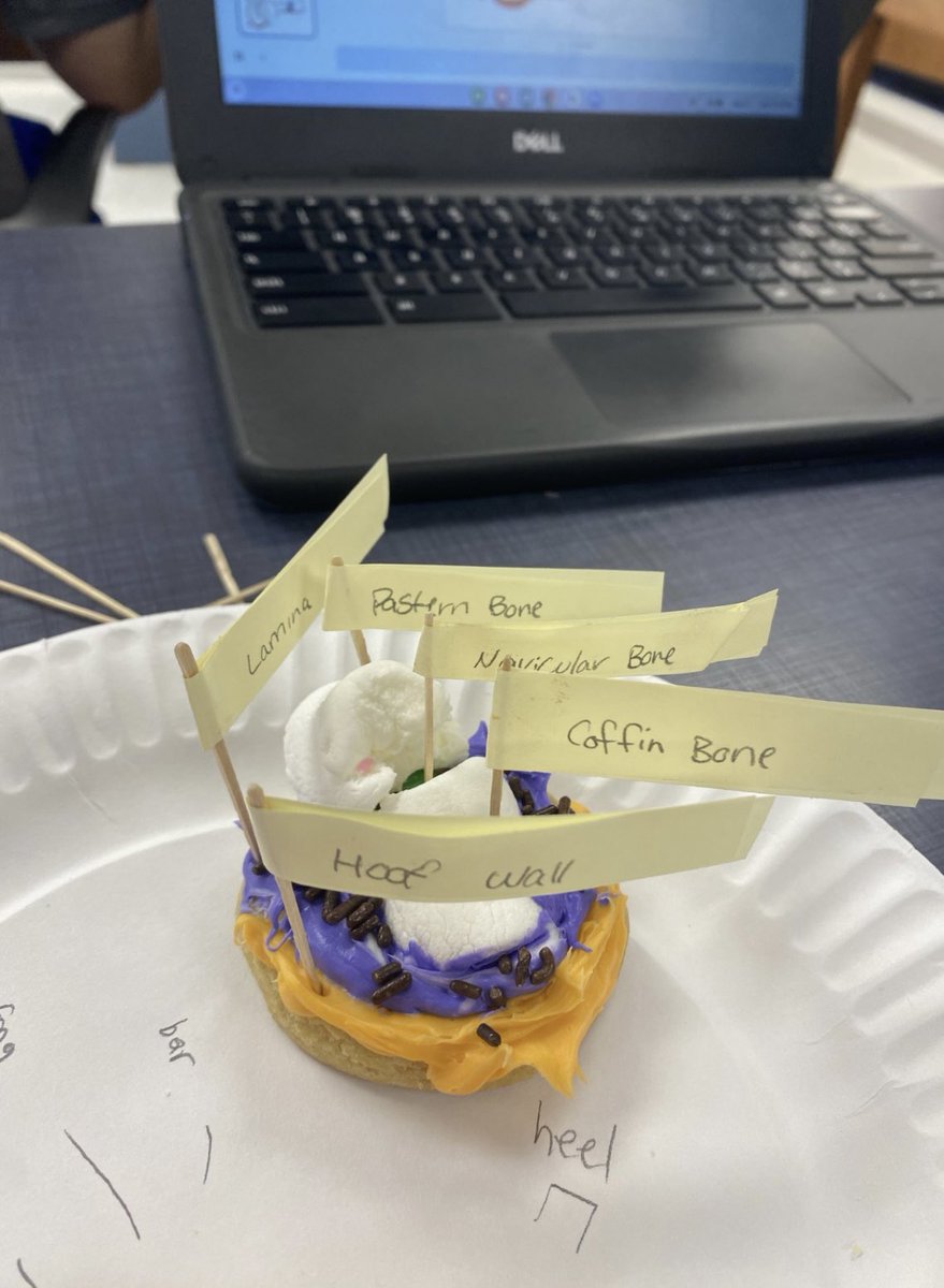 Karissa Kester tweet media