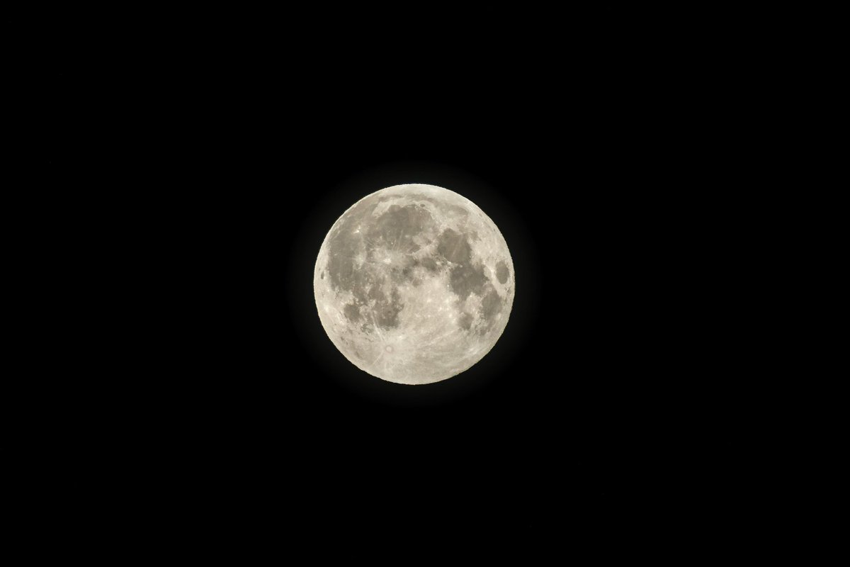 The clouds made it a bit of a challenge to get a photo of the full moon. I happened to catch it when it popped out between the clouds shortly after 6am this morning. Was hoping to get it setting over downtown but…. Clouds… lol #yeg #fullmoon #photography