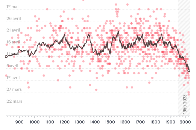 🎨 A poetic way to visualise climate change? 🤔 As usual @lemondefr published an awesome #dataviz yesterday: It illustrates the earlier flourishing of cherry trees in Japan nowadays. ➡️I decided to replicate it using d3.js and React! react-graph-gallery.com/example/timese…