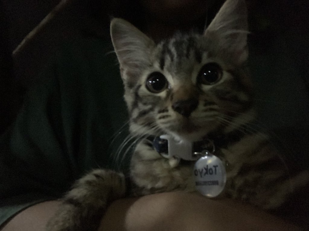 yey ikut mami nongkrong