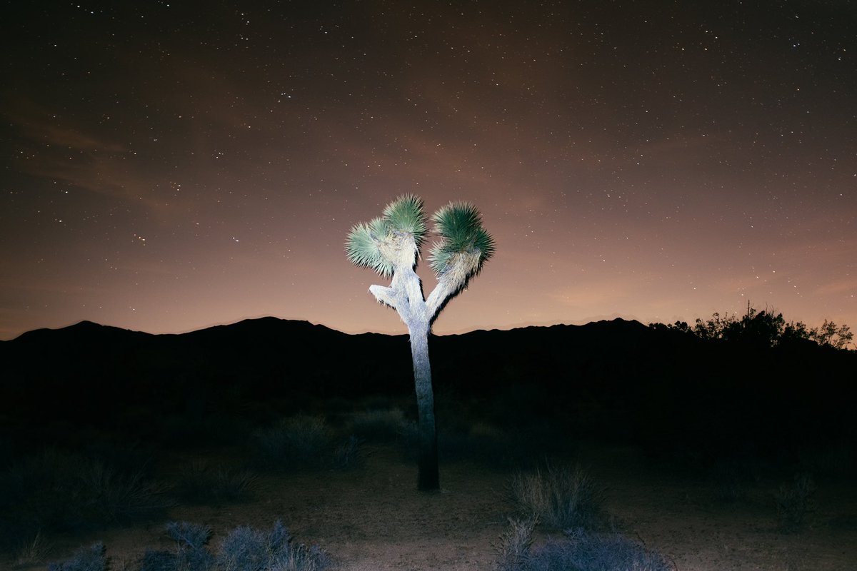 "a ghost in the desert" 
zora.co/collect/zora:0…