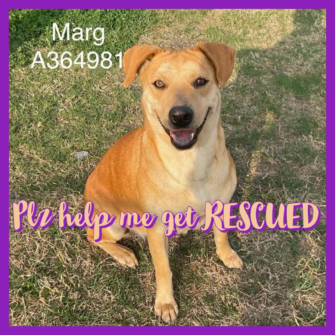 RoCo🇬🇧God Save The King🇬🇧 tweet media