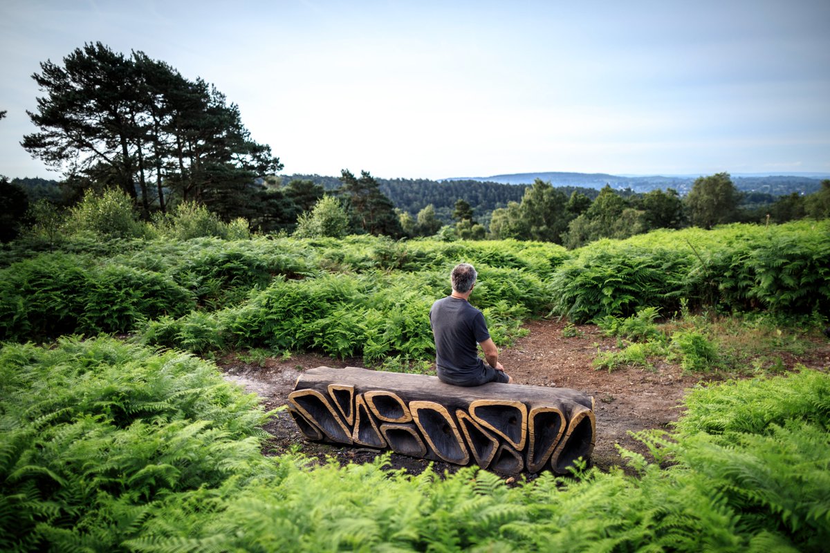 Happy Easter weekend!🌷 Where will your bank holiday adventures take you? 📷 Surrey Hills Arts Inspiring View 'Xylem' at the Gibbet (Devil's Punch Bowl) by Walter Bailey. Image by John Miller. #SurreyHills #DevilsPunchBowl #ArtAndNature #NatureSculptures #OutdoorArt #LandscapeArt