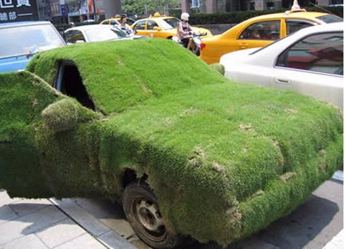 @capabilitycharl I love mosses. I'm growing 2 nice patches, one keeps my roof water tight and the other keeps the window in my old car watertight.