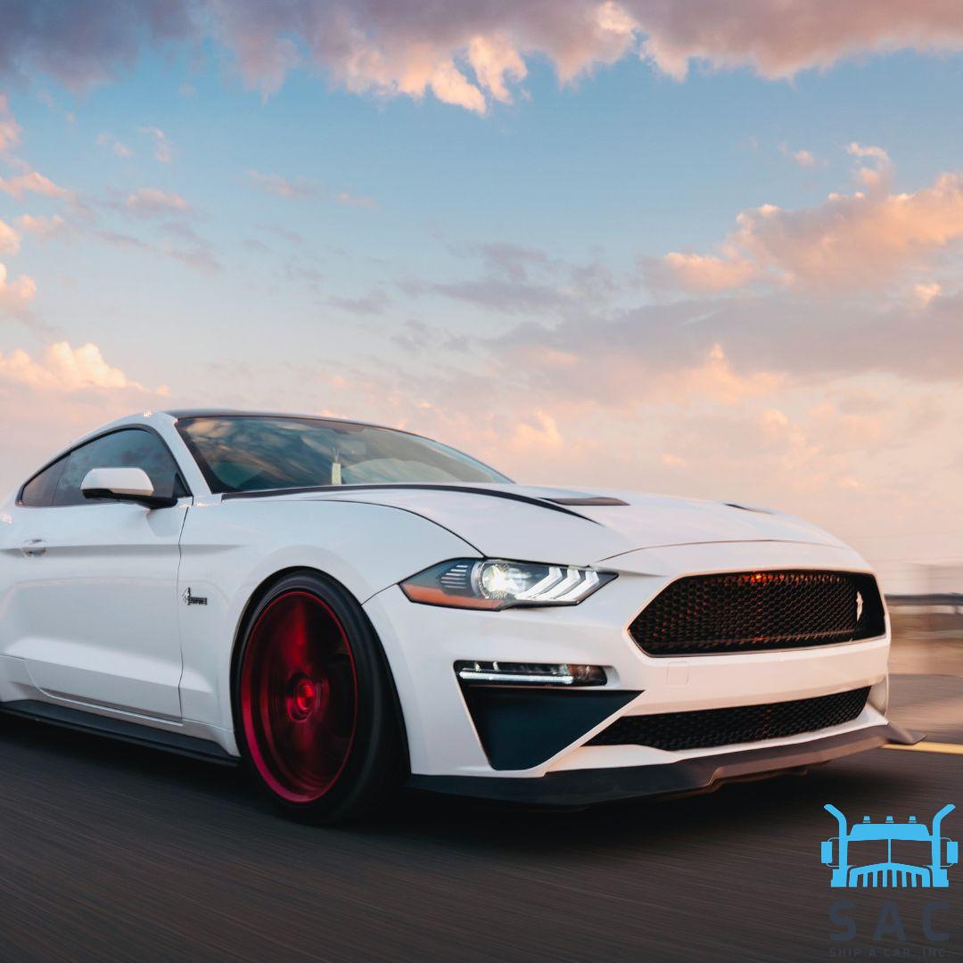 shipacarinc's tweet image. 🚘🚢 We&apos;re not just the best, we&apos;re car-shipping experts! Trust us to get your precious ride safely to its destination. #CarShippingPro #WeKnowHow #ExpertiseIsKey