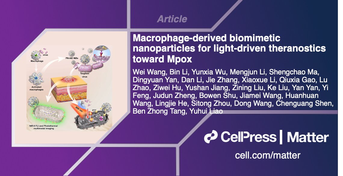 Ben Zhong Tang, Yuhui Liao and colleagues present a high-performance photothermal and photodynamic therapy for Mpox in #MatterIssue57! @BenZhongTANG1 @cuhksz Read more: cell.com/matter/abstrac…