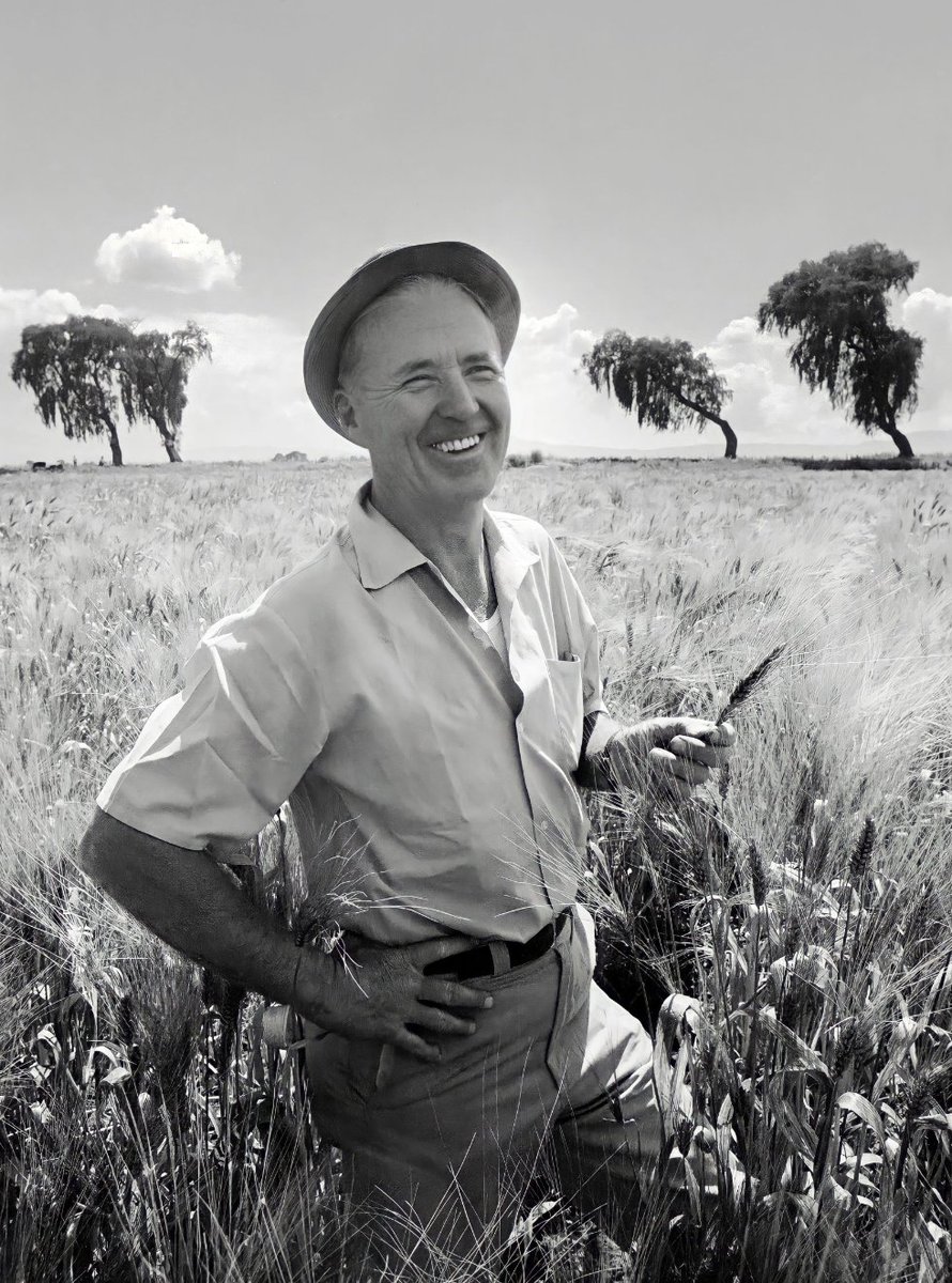 Celebrating the 110th birthday of Norman Borlaug, father of the Green Revolution. His pioneering work in agriculture saved millions from hunger. Let's honor his legacy by continuing to innovate for a sustainable future. #RememberingBorlaug #GlobalImpact 🌾🎂