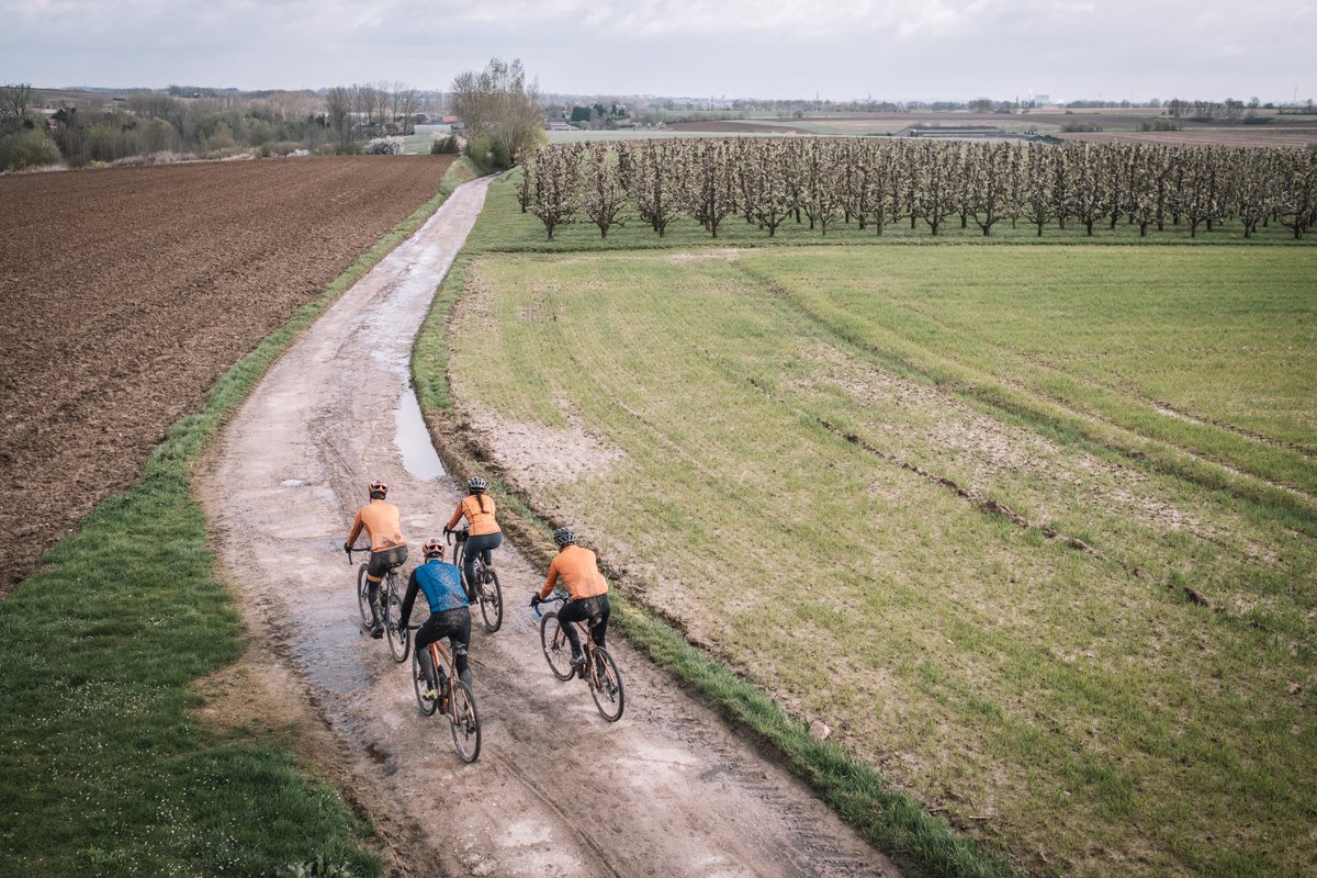 Nieuwe Pallox Gravelroute loopt langs de mooiste grindwegen van de Hagelandse fruitstreek prez.ly/5zIc