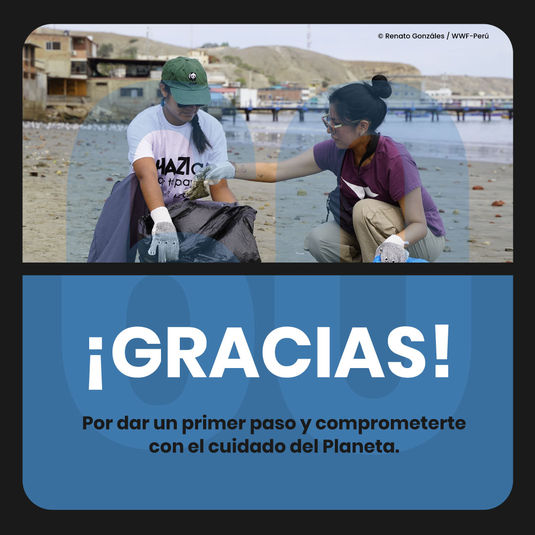 Muchas gracias por sumarte un año más a #LaHoradelPlaneta y formar parte del cambio asumiendo compromisos por el cuidado de la naturaleza🍃. Cada acción cuenta, por pequeña que parezca. ¿Cuéntanos desde qué parte del Perú conmemoraste esta celebración?