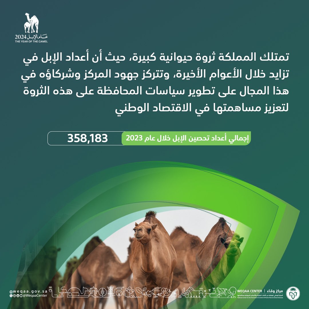 WeqaaCenter's tweet photo. يساهم مركز #وقاء في تعزيز الاقتصاد الوطني بالإشراف على مقدمي الخدمات البيطرية للمحافظة على الثروة الحيوانية في المملكة.

#عام_ الإبل 2024م
#وقاء https://t.co/ZWM3ZgfwPU